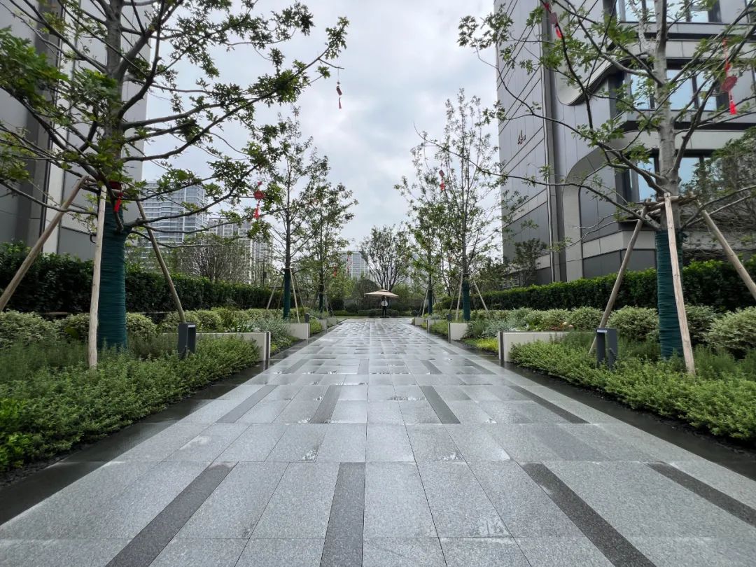 星叶栖悦湾园林步道实景